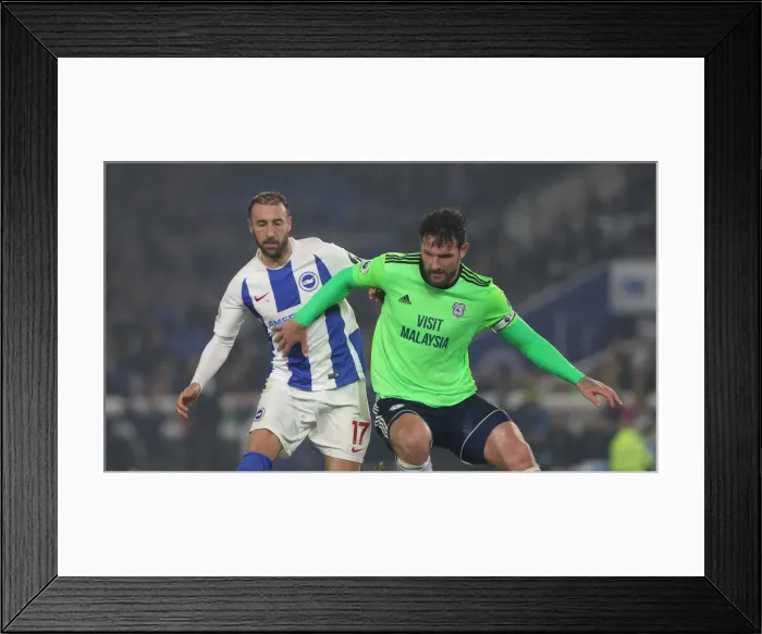 Framed Print : Brighton and Hove Albion vs. Cardiff City: Premier League Battle at American Express Community Stadium (April 16, 2019) Framed Print : Brighton and Hove Albion vs. Cardiff City: Premier League Battle at American Express Community Stadium (April 16, 2019)
