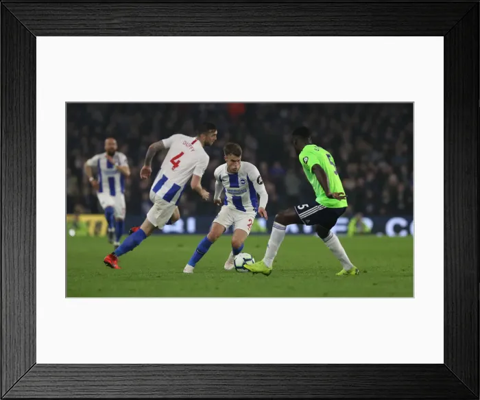 Framed Print : Brighton and Hove Albion vs. Cardiff City: Premier League Battle at American Express Community Stadium (16th April 2019) Framed Print : Brighton and Hove Albion vs. Cardiff City: Premier League Battle at American Express Community Stadium (16th April 2019)