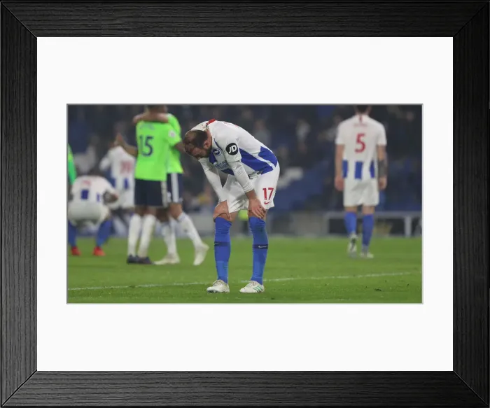 Framed Print : Brighton and Hove Albion vs. Cardiff City: Premier League Battle at American Express Community Stadium (16th April 2019) Framed Print : Brighton and Hove Albion vs. Cardiff City: Premier League Battle at American Express Community Stadium (16th April 2019)