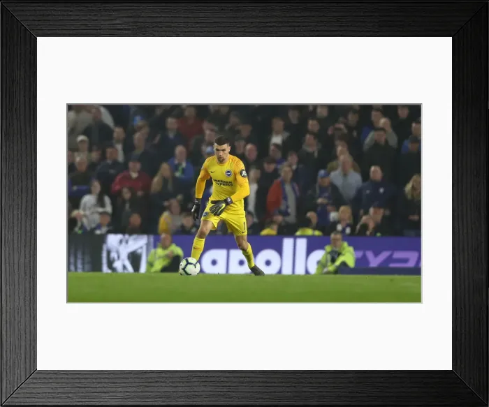Framed Print : Brighton and Hove Albion vs. Cardiff City: Premier League Battle at American Express Community Stadium (16th April 2019) Framed Print : Brighton and Hove Albion vs. Cardiff City: Premier League Battle at American Express Community Stadium (16th April 2019)