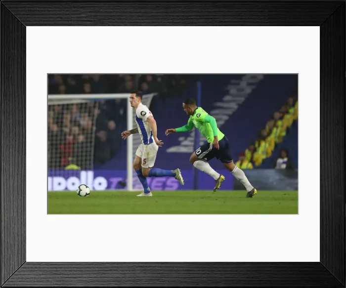 Framed Print : Brighton and Hove Albion vs. Cardiff City: Premier League Battle at American Express Community Stadium (16th April 2019) Framed Print : Brighton and Hove Albion vs. Cardiff City: Premier League Battle at American Express Community Stadium (16th April 2019)