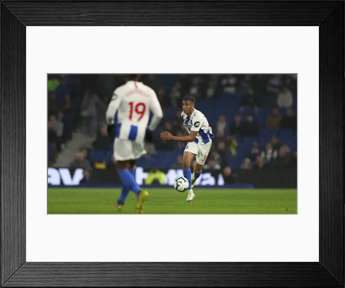 Framed Print : Brighton and Hove Albion vs. Cardiff City: Premier League Showdown at American Express Community Stadium (April 16, 2019) Framed Print : Brighton and Hove Albion vs. Cardiff City: Premier League Showdown at American Express Community Stadium (April 16, 2019)