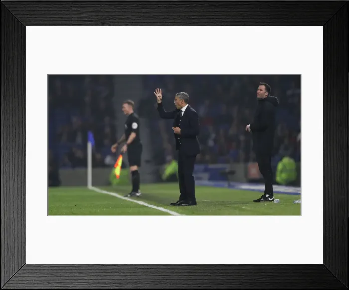 Framed Print : Brighton and Hove Albion vs. Cardiff City: Premier League Battle at American Express Community Stadium (16th April 2019) Framed Print : Brighton and Hove Albion vs. Cardiff City: Premier League Battle at American Express Community Stadium (16th April 2019)