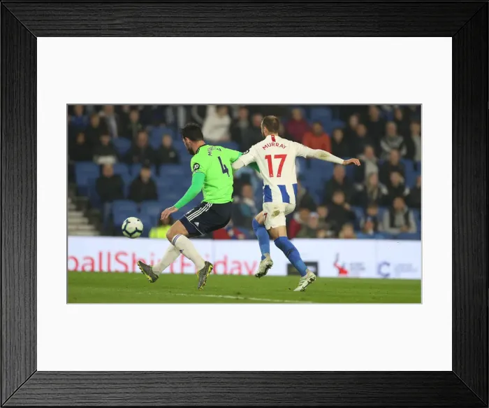 Framed Print : Brighton and Hove Albion vs. Cardiff City: Premier League Battle at American Express Community Stadium (16th April 2019) Framed Print : Brighton and Hove Albion vs. Cardiff City: Premier League Battle at American Express Community Stadium (16th April 2019)