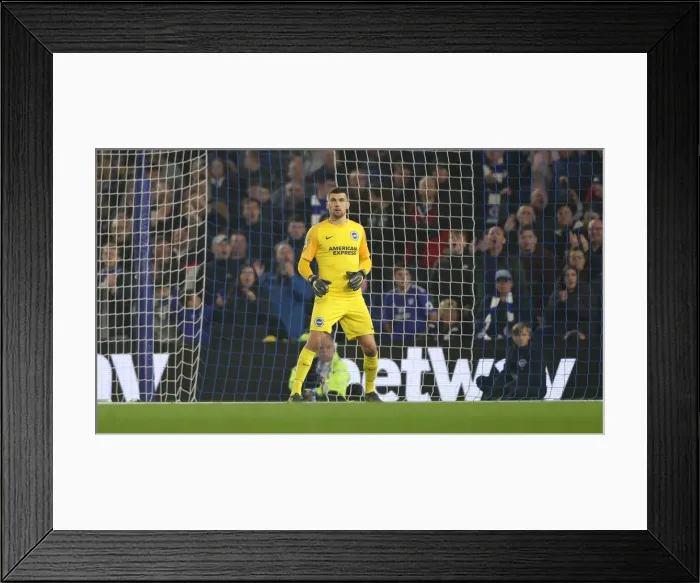 Framed Print : Brighton and Hove Albion vs. Cardiff City: Premier League Showdown at American Express Community Stadium (16th April 2019) Framed Print : Brighton and Hove Albion vs. Cardiff City: Premier League Showdown at American Express Community Stadium (16th April 2019)