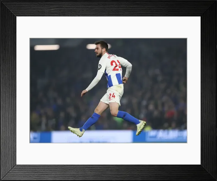 Framed Print : Premier League Showdown: Brighton & Hove Albion vs. Cardiff City (16APR19) - American Express Community Stadium