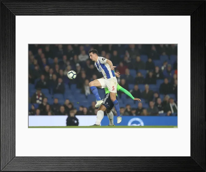 Framed Print : Brighton and Hove Albion vs. Cardiff City: Premier League Showdown at American Express Community Stadium (April 16, 2019) Framed Print : Brighton and Hove Albion vs. Cardiff City: Premier League Showdown at American Express Community Stadium (April 16, 2019)