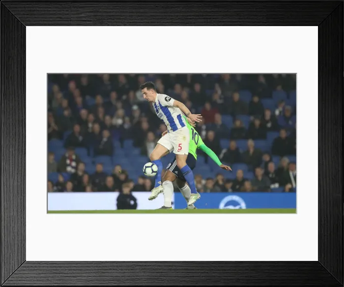 Framed Print : Brighton and Hove Albion vs. Cardiff City: Premier League Battle at American Express Community Stadium (16th April 2019) Framed Print : Brighton and Hove Albion vs. Cardiff City: Premier League Battle at American Express Community Stadium (16th April 2019)