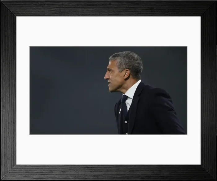 Framed Print : Brighton and Hove Albion vs. Cardiff City: Premier League Battle at American Express Community Stadium (April 16, 2019) Framed Print : Brighton and Hove Albion vs. Cardiff City: Premier League Battle at American Express Community Stadium (April 16, 2019)