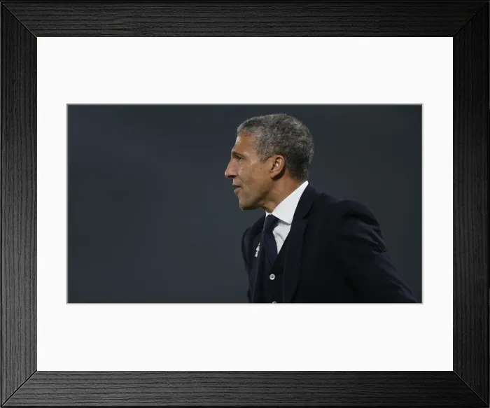 Framed Print : Brighton and Hove Albion vs. Cardiff City: Premier League Showdown at American Express Community Stadium (16th April 2019) Framed Print : Brighton and Hove Albion vs. Cardiff City: Premier League Showdown at American Express Community Stadium (16th April 2019)