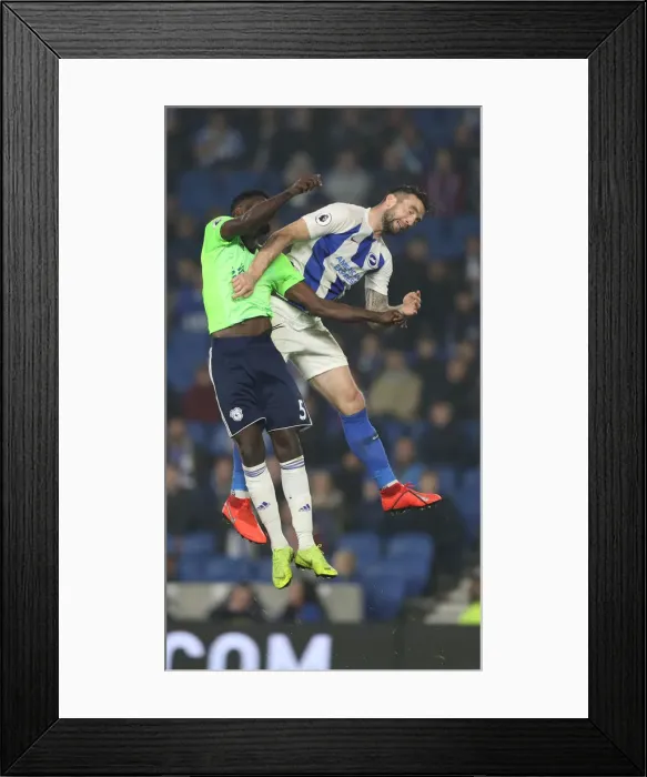 Framed Print : Brighton and Hove Albion vs. Cardiff City: Premier League Battle at American Express Community Stadium (16th April 2019) Framed Print : Brighton and Hove Albion vs. Cardiff City: Premier League Battle at American Express Community Stadium (16th April 2019)