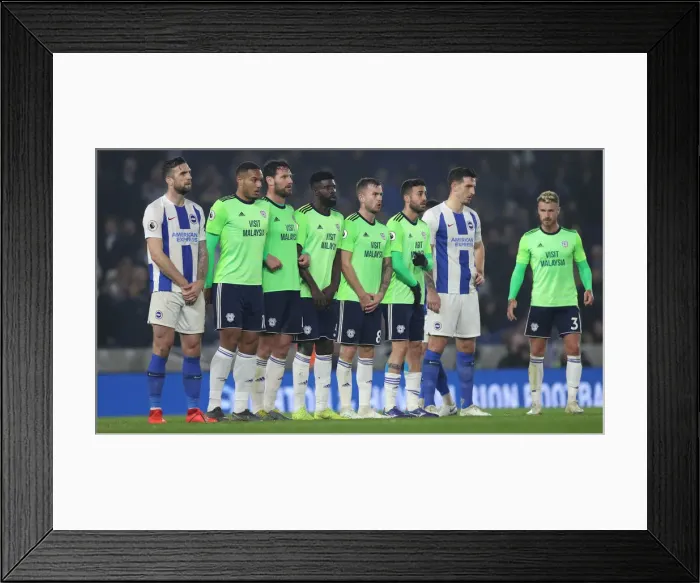Framed Print : Brighton and Hove Albion vs. Cardiff City: Premier League Showdown at American Express Community Stadium (16th April 2019) Framed Print : Brighton and Hove Albion vs. Cardiff City: Premier League Showdown at American Express Community Stadium (16th April 2019)