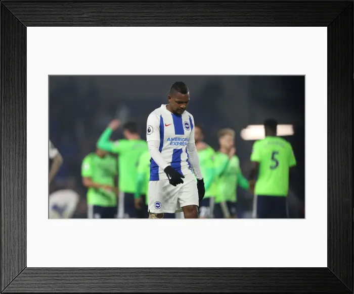 Framed Print : Brighton and Hove Albion vs. Cardiff City: Premier League Battle at American Express Community Stadium (16th April 2019) Framed Print : Brighton and Hove Albion vs. Cardiff City: Premier League Battle at American Express Community Stadium (16th April 2019)