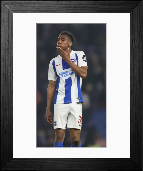 Framed Print : Brighton and Hove Albion vs. Cardiff City: Premier League Showdown at American Express Community Stadium (April 16, 2019) Framed Print : Brighton and Hove Albion vs. Cardiff City: Premier League Showdown at American Express Community Stadium (April 16, 2019)