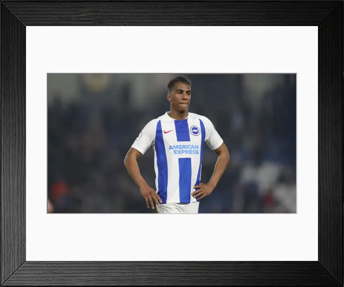 Framed Print : Brighton and Hove Albion vs. Cardiff City: Premier League Battle at American Express Community Stadium (April 16, 2019) Framed Print : Brighton and Hove Albion vs. Cardiff City: Premier League Battle at American Express Community Stadium (April 16, 2019)