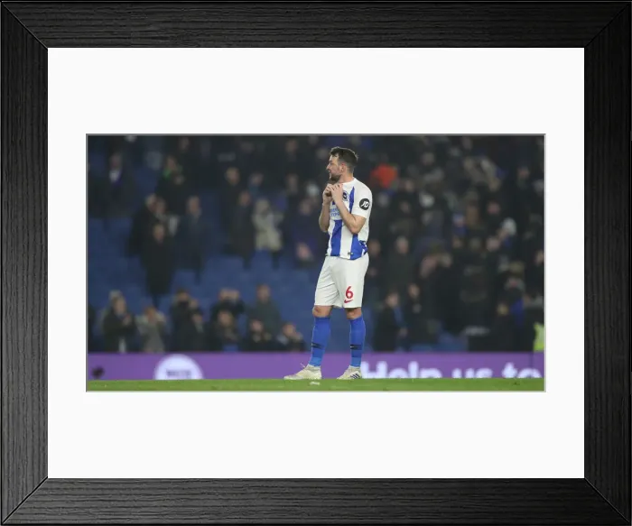 Framed Print : Brighton and Hove Albion vs. Cardiff City: Premier League Battle at American Express Community Stadium (16th April 2019) Framed Print : Brighton and Hove Albion vs. Cardiff City: Premier League Battle at American Express Community Stadium (16th April 2019)