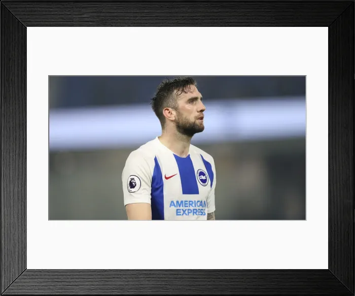 Framed Print : Brighton and Hove Albion vs. Cardiff City: Premier League Showdown at American Express Community Stadium (16th April 2019)