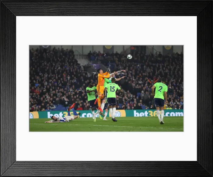 Framed Print : Brighton and Hove Albion vs. Cardiff City: Premier League Battle at American Express Community Stadium (16th April 2019) Framed Print : Brighton and Hove Albion vs. Cardiff City: Premier League Battle at American Express Community Stadium (16th April 2019)