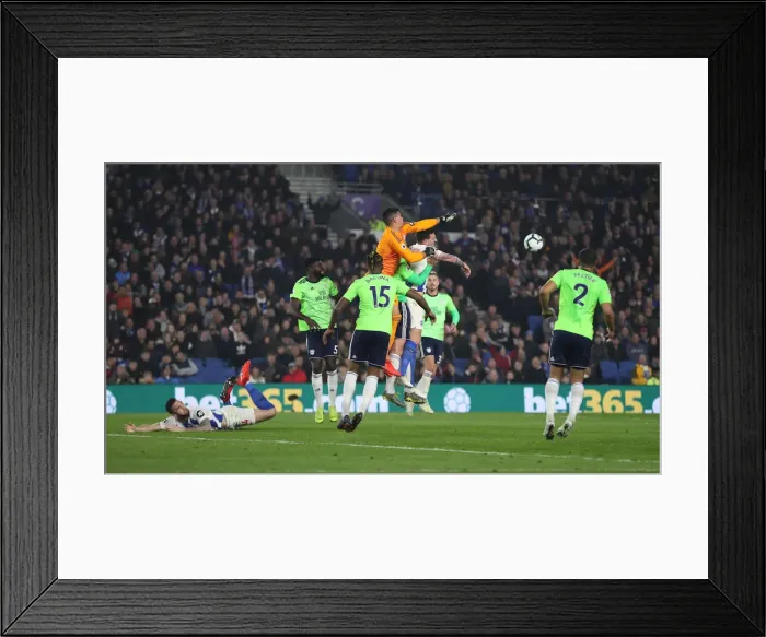 Framed Print : Brighton and Hove Albion vs. Cardiff City: Premier League Battle at American Express Community Stadium (16th April 2019) Framed Print : Brighton and Hove Albion vs. Cardiff City: Premier League Battle at American Express Community Stadium (16th April 2019)