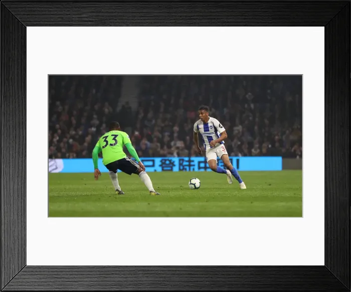 Framed Print : Brighton and Hove Albion vs. Cardiff City: Premier League Battle at American Express Community Stadium (16APR19) Framed Print : Brighton and Hove Albion vs. Cardiff City: Premier League Battle at American Express Community Stadium (16APR19)
