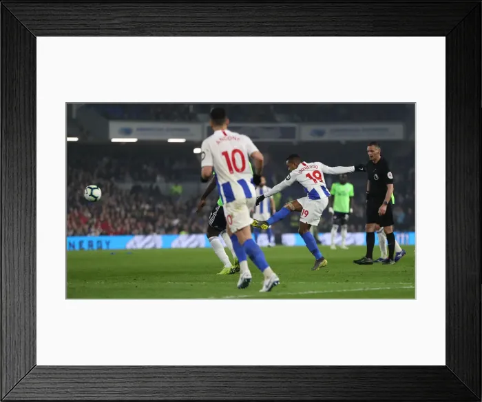 Framed Print : Brighton and Hove Albion vs. Cardiff City: Premier League Showdown at American Express Community Stadium (April 16, 2019) Framed Print : Brighton and Hove Albion vs. Cardiff City: Premier League Showdown at American Express Community Stadium (April 16, 2019)