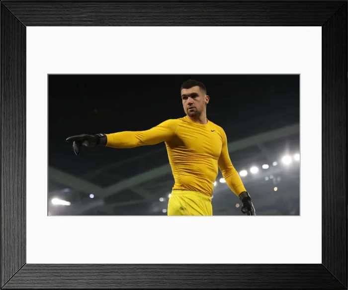 Framed Print : Brighton and Hove Albion vs. Cardiff City: Premier League Battle at American Express Community Stadium (16th April 2019) Framed Print : Brighton and Hove Albion vs. Cardiff City: Premier League Battle at American Express Community Stadium (16th April 2019)