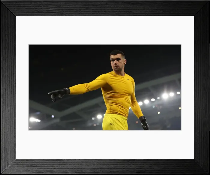 Framed Print : Brighton and Hove Albion vs. Cardiff City: Premier League Battle at American Express Community Stadium (16th April 2019) Framed Print : Brighton and Hove Albion vs. Cardiff City: Premier League Battle at American Express Community Stadium (16th April 2019)