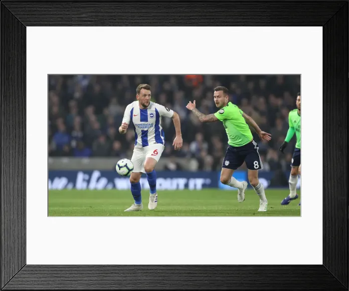 Framed Print : Brighton and Hove Albion vs. Cardiff City: Premier League Battle at American Express Community Stadium (16th April 2019) Framed Print : Brighton and Hove Albion vs. Cardiff City: Premier League Battle at American Express Community Stadium (16th April 2019)