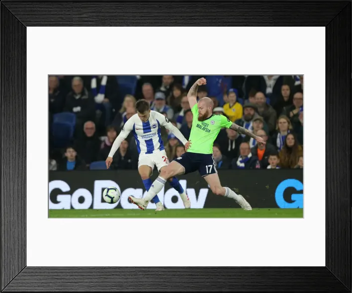 Framed Print : Brighton and Hove Albion vs. Cardiff City: Premier League Showdown at American Express Community Stadium (April 16, 2019) Framed Print : Brighton and Hove Albion vs. Cardiff City: Premier League Showdown at American Express Community Stadium (April 16, 2019)