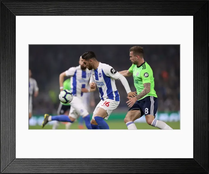 Framed Print : Brighton and Hove Albion vs. Cardiff City: Premier League Battle at American Express Community Stadium (16th April 2019) Framed Print : Brighton and Hove Albion vs. Cardiff City: Premier League Battle at American Express Community Stadium (16th April 2019)