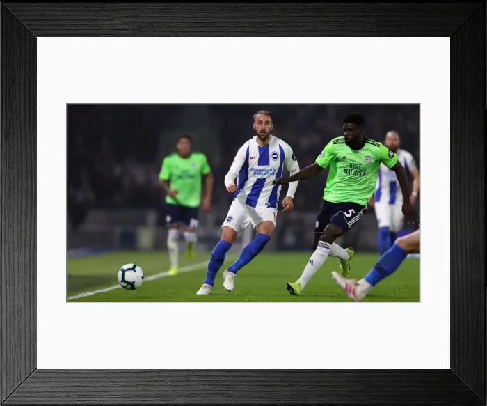 Framed Print : Brighton and Hove Albion vs. Cardiff City: Premier League Showdown at American Express Community Stadium (16th April 2019) Framed Print : Brighton and Hove Albion vs. Cardiff City: Premier League Showdown at American Express Community Stadium (16th April 2019)