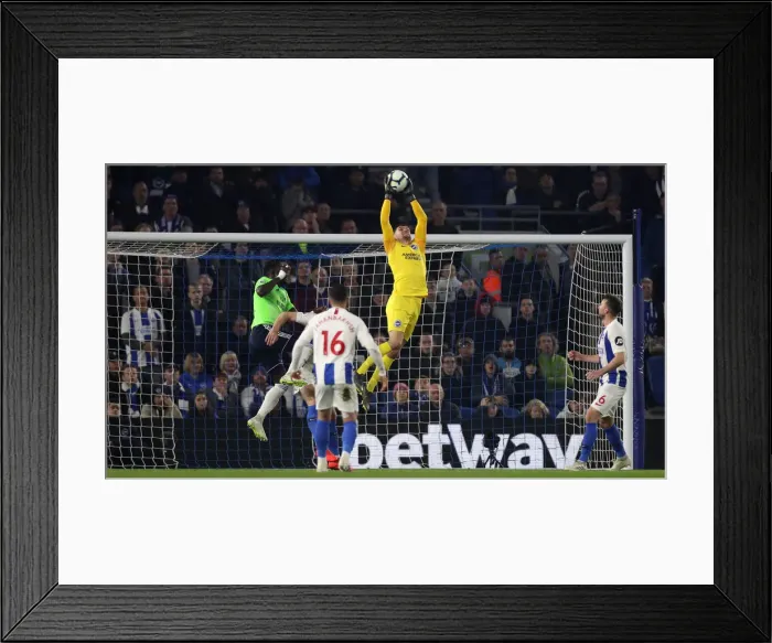 Framed Print : Brighton and Hove Albion vs. Cardiff City: Premier League Battle at American Express Community Stadium (16th April 2019) Framed Print : Brighton and Hove Albion vs. Cardiff City: Premier League Battle at American Express Community Stadium (16th April 2019)