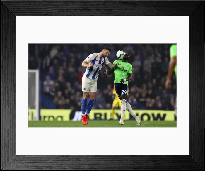 Framed Print : Brighton and Hove Albion vs. Cardiff City: Premier League Showdown at American Express Community Stadium (16th April 2019) Framed Print : Brighton and Hove Albion vs. Cardiff City: Premier League Showdown at American Express Community Stadium (16th April 2019)