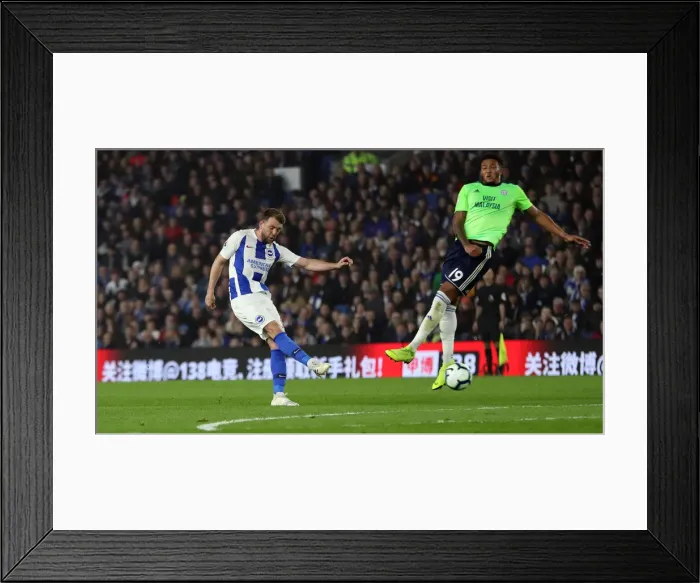 Framed Print : Brighton and Hove Albion vs. Cardiff City: Premier League Battle at American Express Community Stadium (16th April 2019) Framed Print : Brighton and Hove Albion vs. Cardiff City: Premier League Battle at American Express Community Stadium (16th April 2019)