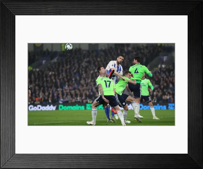 Framed Print : Intense Premier League Showdown: Brighton & Hove Albion vs. Cardiff City (16APR19) Framed Print : Intense Premier League Showdown: Brighton & Hove Albion vs. Cardiff City (16APR19)