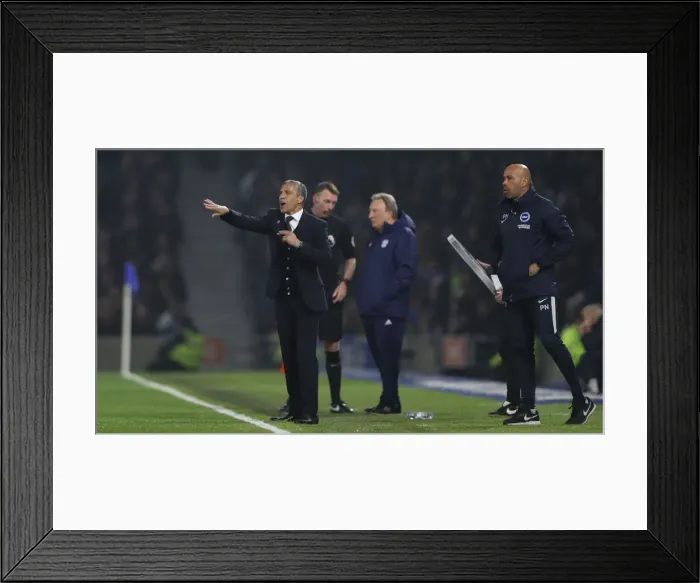 Framed Print : Brighton and Hove Albion vs. Cardiff City: Premier League Battle at American Express Community Stadium (April 16, 2019) Framed Print : Brighton and Hove Albion vs. Cardiff City: Premier League Battle at American Express Community Stadium (April 16, 2019)