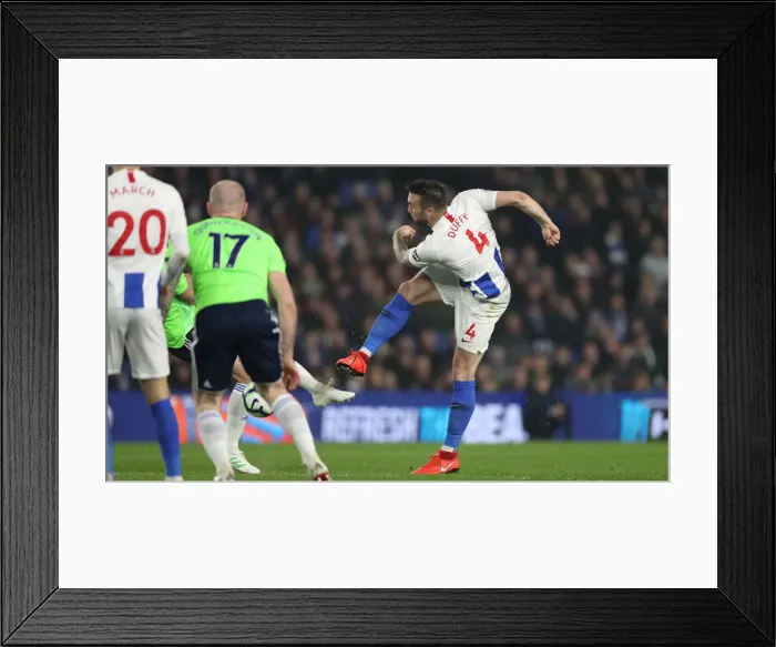 Framed Print : Brighton and Hove Albion vs. Cardiff City: Premier League Showdown at American Express Community Stadium (16th April 2019) Framed Print : Brighton and Hove Albion vs. Cardiff City: Premier League Showdown at American Express Community Stadium (16th April 2019)