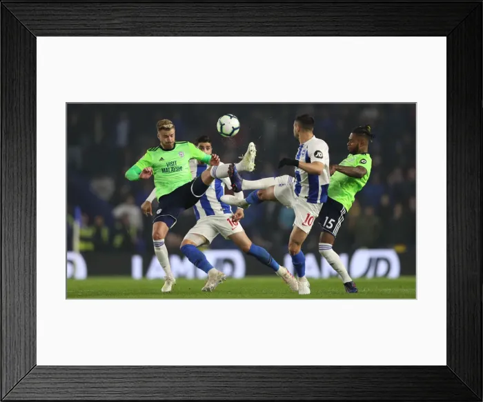 Framed Print : Brighton and Hove Albion vs. Cardiff City: Premier League Battle at American Express Community Stadium (16th April 2019)