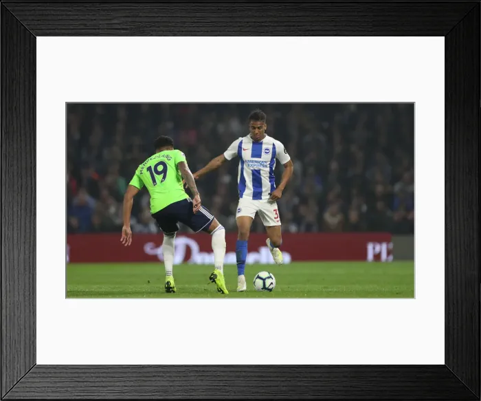 Framed Print : Brighton and Hove Albion vs. Cardiff City: Premier League Battle at American Express Community Stadium (16th April 2019) Framed Print : Brighton and Hove Albion vs. Cardiff City: Premier League Battle at American Express Community Stadium (16th April 2019)