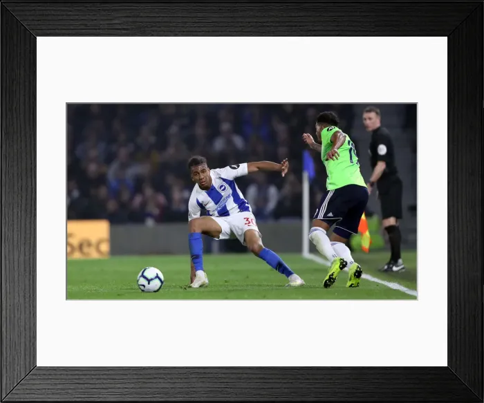 Framed Print : Brighton and Hove Albion vs. Cardiff City: Premier League Showdown at American Express Community Stadium (16th April 2019) Framed Print : Brighton and Hove Albion vs. Cardiff City: Premier League Showdown at American Express Community Stadium (16th April 2019)