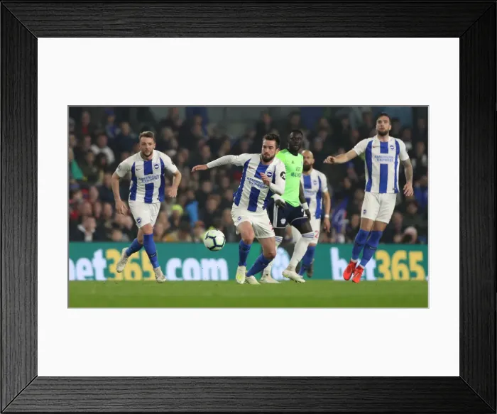 Framed Print : Brighton and Hove Albion vs. Cardiff City: Premier League Showdown at American Express Community Stadium (16th April 2019) Framed Print : Brighton and Hove Albion vs. Cardiff City: Premier League Showdown at American Express Community Stadium (16th April 2019)