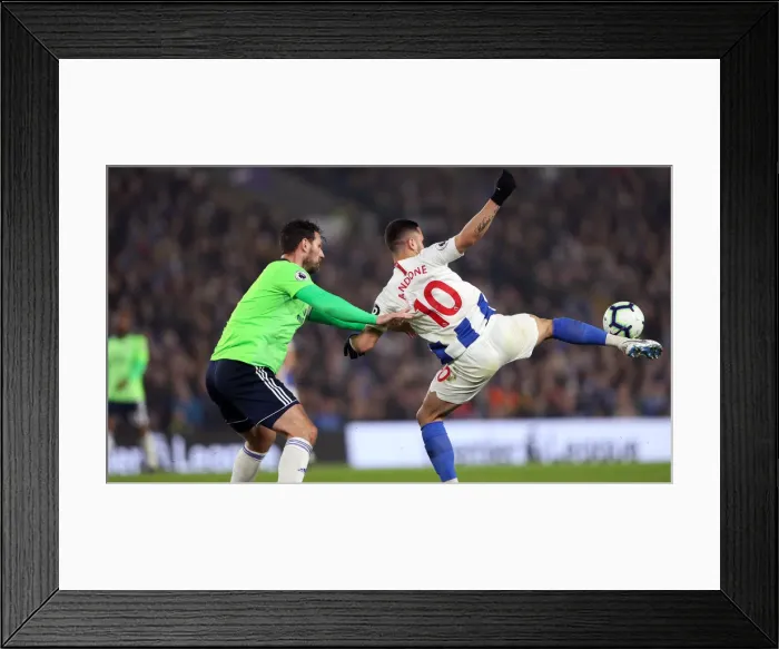 Framed Print : Brighton and Hove Albion vs. Cardiff City: Premier League Battle at American Express Community Stadium (16th April 2019) Framed Print : Brighton and Hove Albion vs. Cardiff City: Premier League Battle at American Express Community Stadium (16th April 2019)