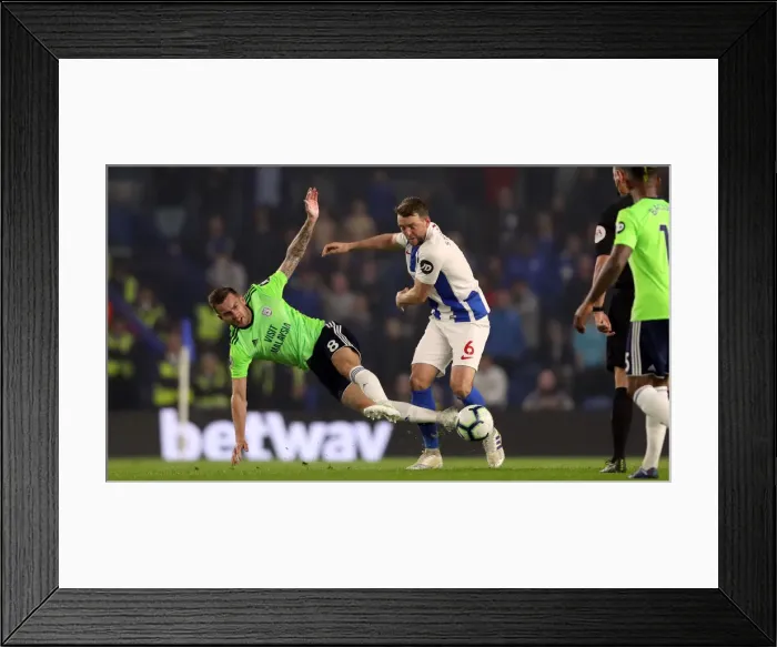 Framed Print : Brighton and Hove Albion vs. Cardiff City: Premier League Battle at American Express Community Stadium (16th April 2019)