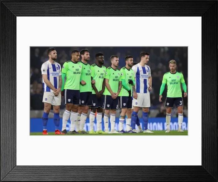Framed Print : Brighton and Hove Albion vs. Cardiff City: Premier League Battle at American Express Community Stadium (16th April 2019)