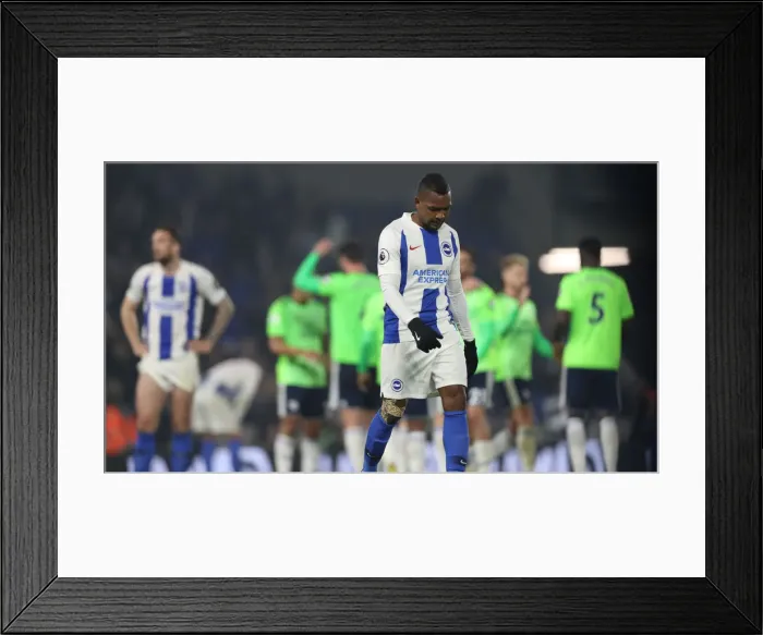 Framed Print : Brighton and Hove Albion vs. Cardiff City: Premier League Battle at American Express Community Stadium (16th April 2019) Framed Print : Brighton and Hove Albion vs. Cardiff City: Premier League Battle at American Express Community Stadium (16th April 2019)
