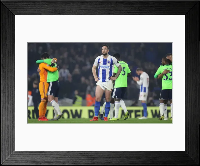 Framed Print : Brighton and Hove Albion vs. Cardiff City: Premier League Battle at American Express Community Stadium (16th April 2019) Framed Print : Brighton and Hove Albion vs. Cardiff City: Premier League Battle at American Express Community Stadium (16th April 2019)