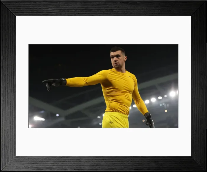 Framed Print : Brighton and Hove Albion vs. Cardiff City: Premier League Battle at American Express Community Stadium (16th April 2019) Framed Print : Brighton and Hove Albion vs. Cardiff City: Premier League Battle at American Express Community Stadium (16th April 2019)