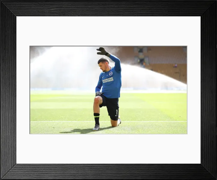 Framed Print : Premier League Showdown: Wolverhampton Wanderers vs. Brighton and Hove Albion at Molineux Stadium (20APR19) Framed Print : Premier League Showdown: Wolverhampton Wanderers vs. Brighton and Hove Albion at Molineux Stadium (20APR19)