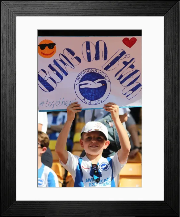 Framed Print : Premier League Showdown: Wolverhampton Wanderers vs. Brighton and Hove Albion at Molineux Stadium (20APR19) Framed Print : Premier League Showdown: Wolverhampton Wanderers vs. Brighton and Hove Albion at Molineux Stadium (20APR19)