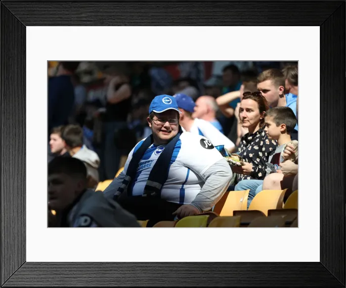 Framed Print : Premier League Showdown: Wolverhampton Wanderers vs Brighton and Hove Albion at Molineux Stadium (20APR19) Framed Print : Premier League Showdown: Wolverhampton Wanderers vs Brighton and Hove Albion at Molineux Stadium (20APR19)